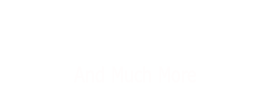 Diane’s  Horses And Much More