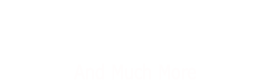Diane’s  Horses And Much More